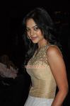 Tamil Actress Bindhu Madhavi 1138