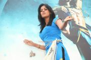Tamil Actress Bindu Madhavi 7503