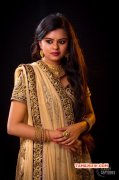 Brindha Tamil Movie Actress Jul 2017 Still 3636