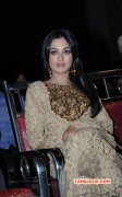 Catherine Tresa Film Actress Latest Gallery 3039