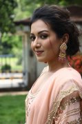 Catherine Tresa Tamil Movie Actress Recent Pictures 6604