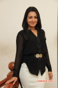 Heroine Catherine Tresa Latest Pictures 3695