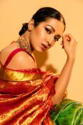 Oct 2019 Photos Catherine Tresa Tamil Actress 3813