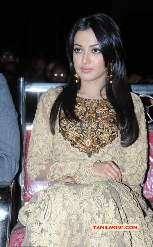 Recent Pic Tamil Actress Catherine Tresa 6129