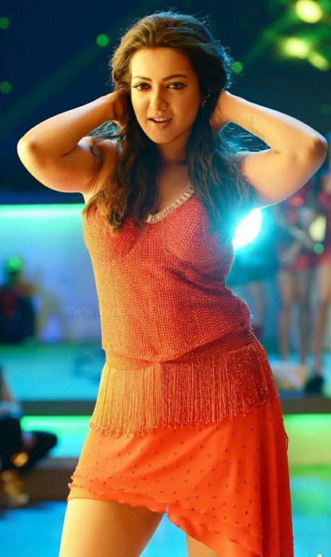 Recent Still Catherine Tresa Tamil Actress 8362