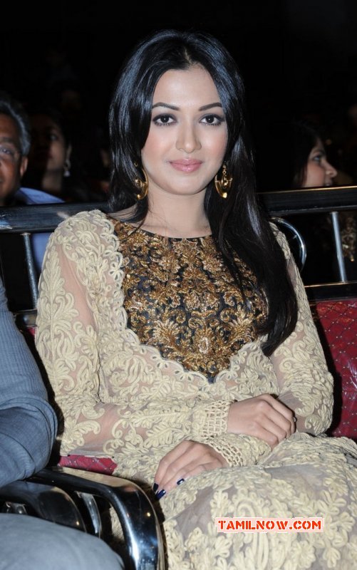 Tamil Actress Catherine Tresa 2014 Still 5139