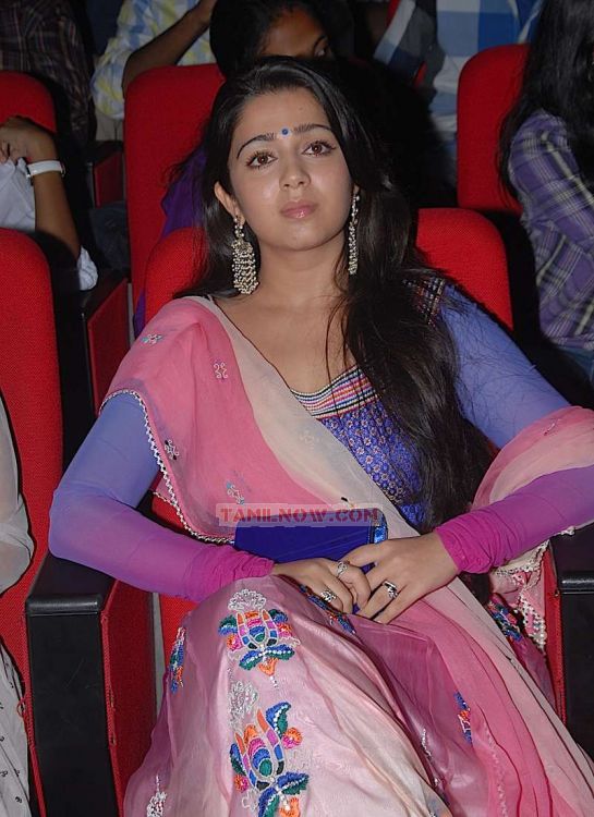 Charmi 3724