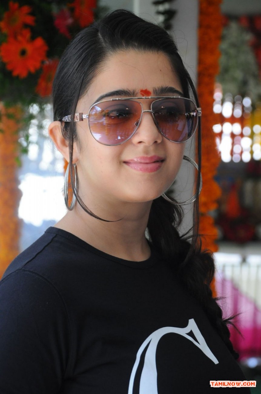 Charmi 693