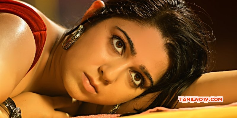 Recent Album Tamil Movie Actress Charmi 6446