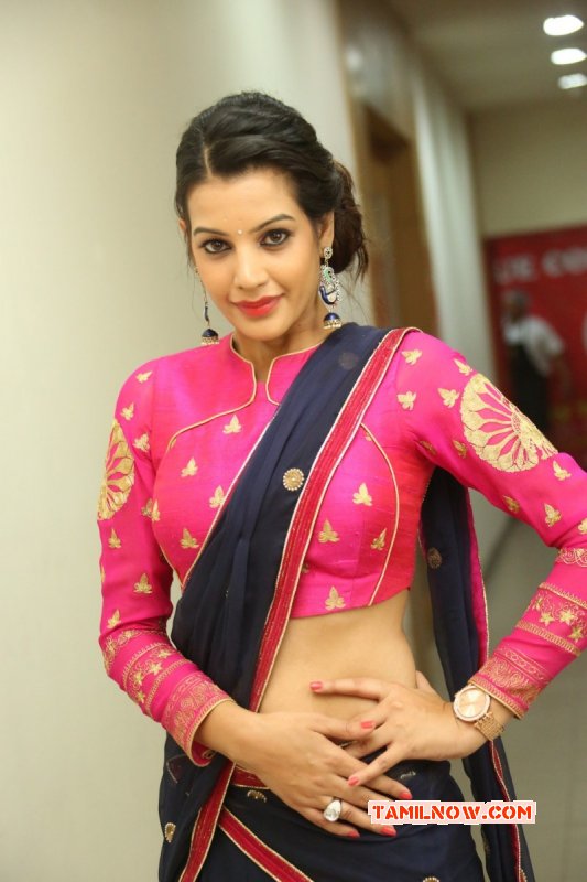 2014 Photo Deeksha Panth Movie Actress 9851