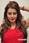 2015 Pictures Film Actress Deeksha Panth 3638