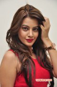 Actress Deeksha Panth Photo 2669