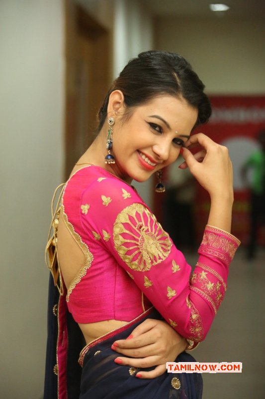 Albums Cinema Actress Deeksha Panth 9027