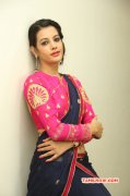 Deeksha Panth Heroine 2014 Albums 6253