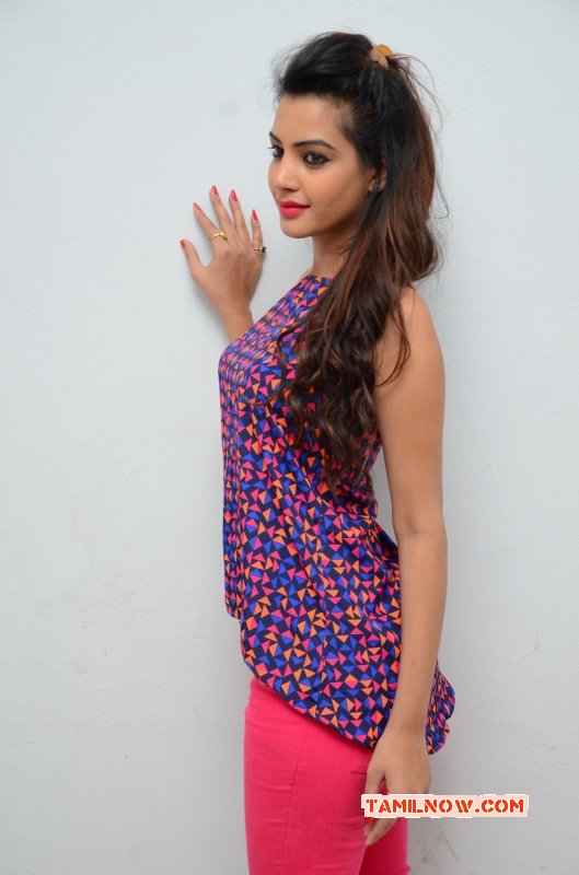 Deeksha Panth Heroine Nov 2014 Pictures 2803