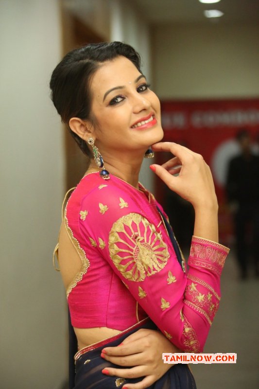 Deeksha Panth Indian Actress 2014 Galleries 8637