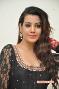 Deeksha Panth Indian Actress Wallpapers 3644