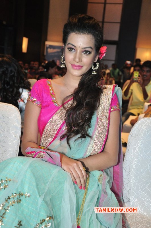 Deeksha Panth South Actress 2015 Photos 3248