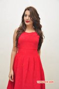 Film Actress Deeksha Panth Recent Photos 706