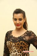 Latest Gallery Indian Actress Deeksha Panth 9545