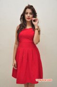 New Photos Deeksha Panth Tamil Actress 9463