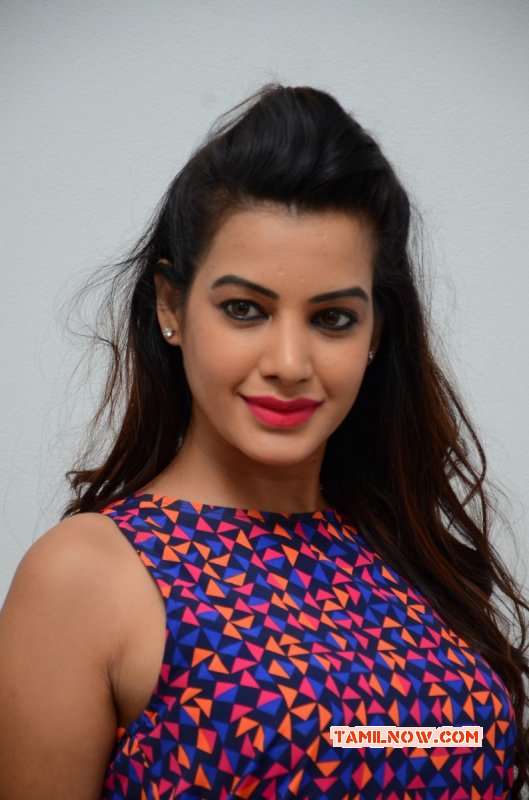 Nov 2014 Still South Actress Deeksha Panth 1353