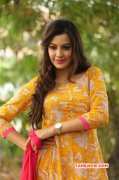 Picture Movie Actress Deeksha Panth 2063