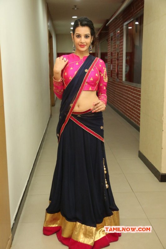 Recent Pics Deeksha Panth Movie Actress 6163