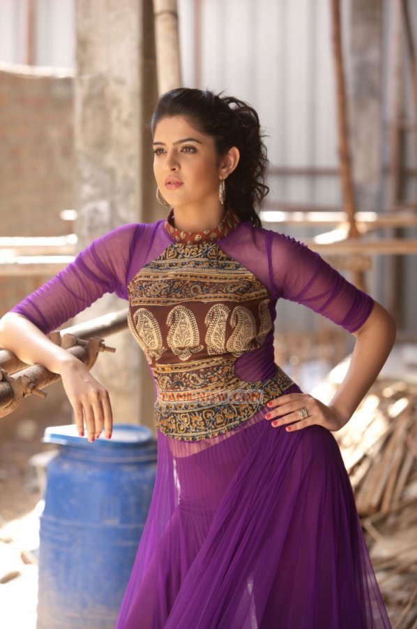 Actress Deeksha Seth 8422