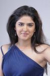 Tamil Actress Deeksha Seth 8611