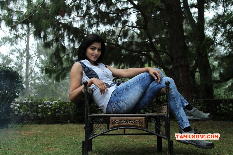 Photo Dhanshika Cinema Actress 6829