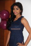Actress Dhansika 5173