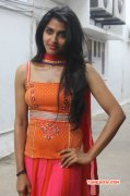 Dhansika Tamil Actress New Images 3883