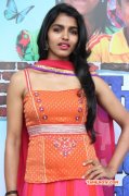 New Pics Tamil Movie Actress Dhansika 5331