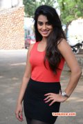 Dimple Chopade Indian Actress 2014 Stills 950