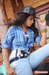 Tamil Actress Dimple Chopade 8633