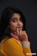 Tamil Actress Dimple Chopade 8940