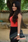 Tamil Movie Actress Dimple Chopade Latest Gallery 5043