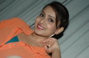 Tamil Actress Dipa Shah 8162