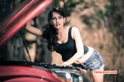 Galleries Tamil Movie Actress Disha Pandey 8740