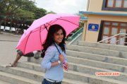 Tamil Actress Disha Pandey 2016 Images 6573