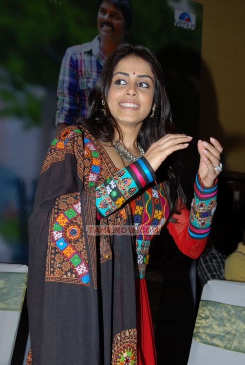 Actress Genelia Dsouza Photos 5817