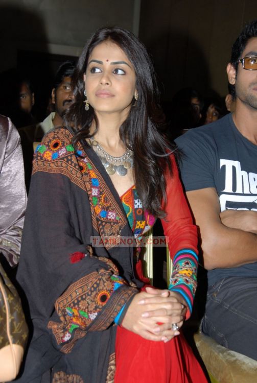 Genelia Dsouza 3483