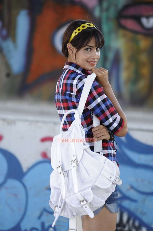 Tamil Actress Genelia Dsouza 5135