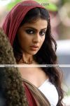 Actress Genelia In Urumi