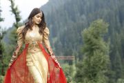 Actress Genelia Latest Photo 948