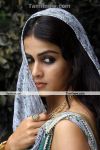 Actress Genelia New Pics 2