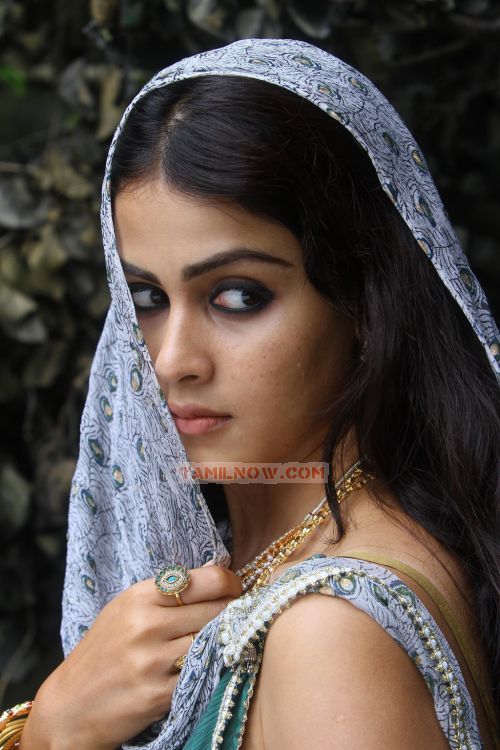 Tamil Actress Genelia Photos 847