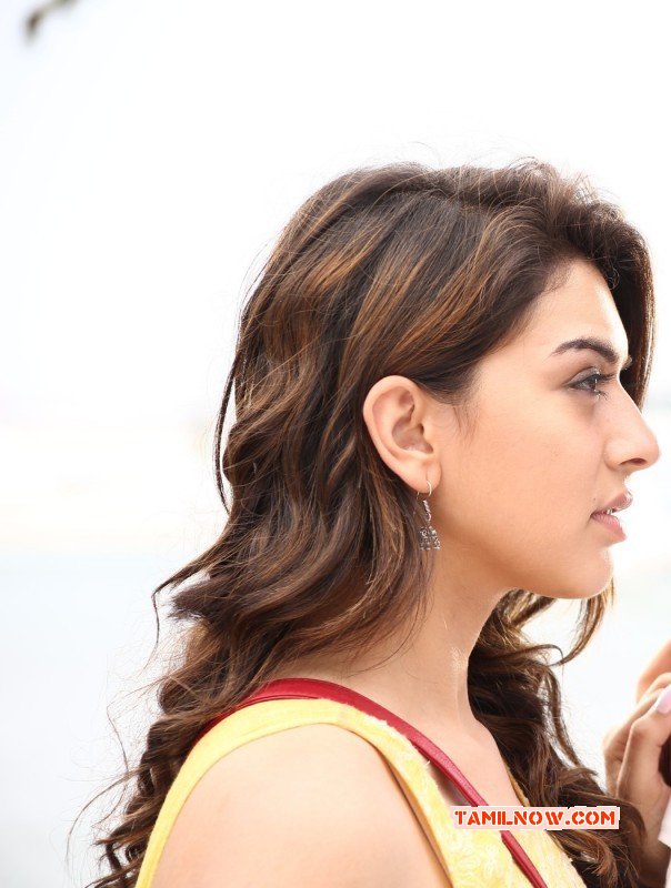 2014 Picture Hansika Motwani Film Actress 7060