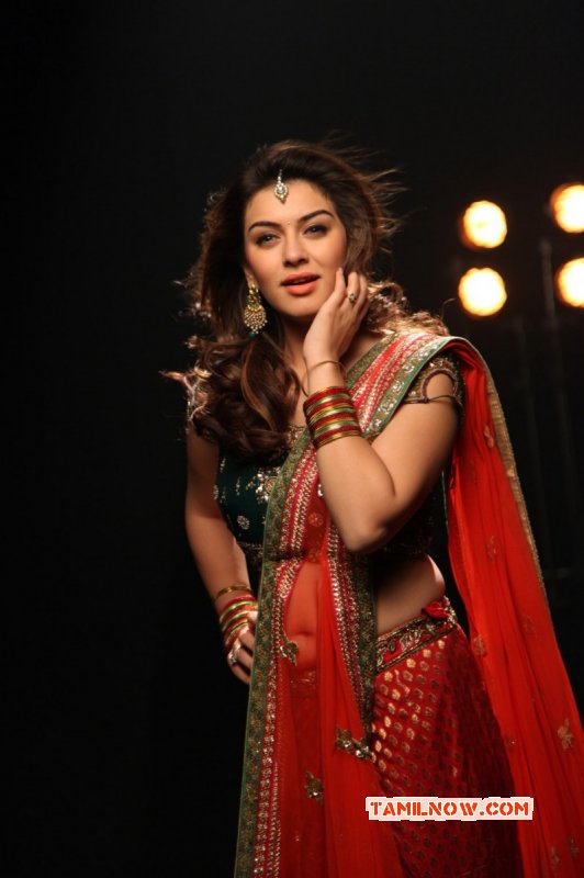 2015 Wallpaper Hansika Motwani Tamil Heroine 3351